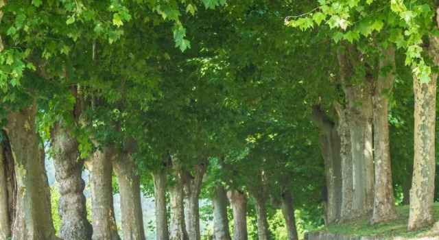 Viavai, Varaa Hotelli Casalborgone Monferrato