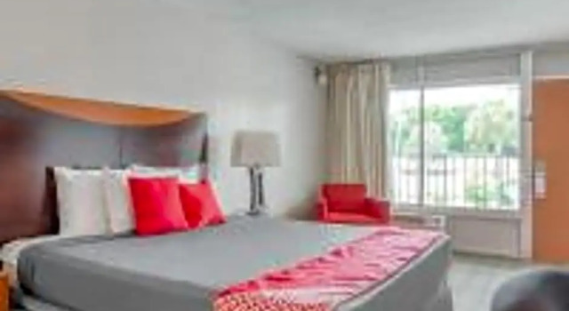 Студия Hotel Pinellas Park - St. Petersburg North US-19