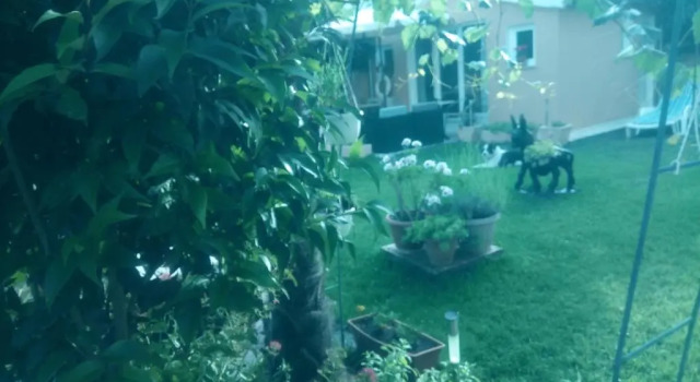 Студия Villa Dolce Vita