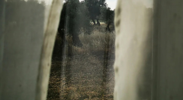 Standard huone Quinta do Louredo