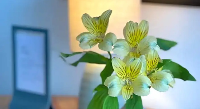 Двухместный номер Standard Chalet Motel Whitefish