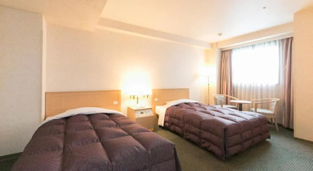 Двухместный номер Superior Hida Takayama Washington Hotel Plaza