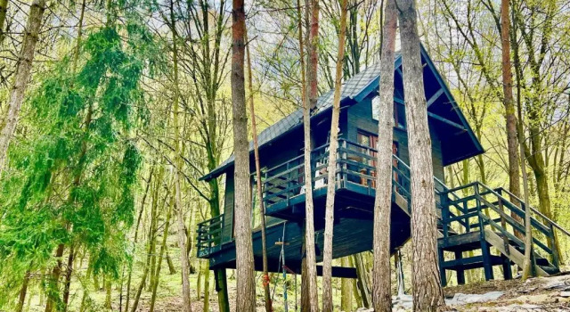Коттедж Na Skraju Lasu Domek na Drzewie & Glamping