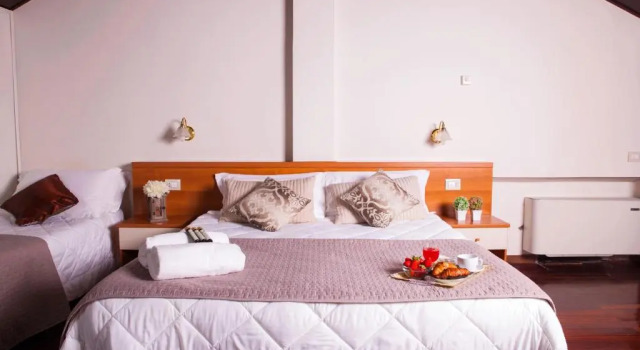 Трёхместный номер Standard Hotel Ares Milano