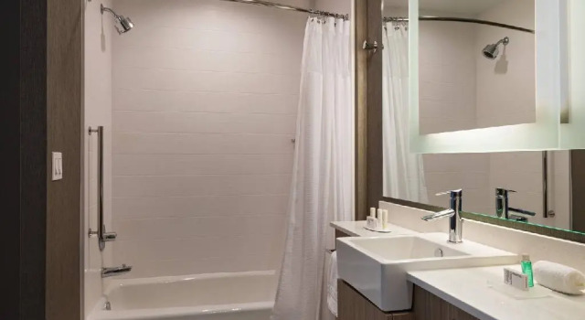 Четырёхместный люкс SpringHill Suites by Marriott Dallas Richardson/University Area