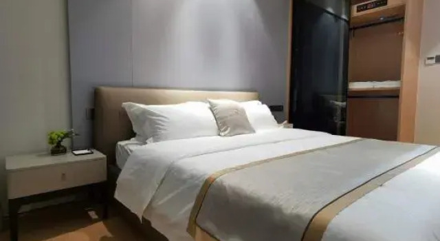 Люкс Business Ovis International Hotel Apartment