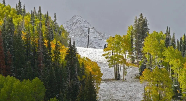 Paradise Condos - Crested Butte Mountain Rentals
