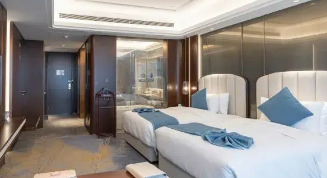 Люкс Grand Xiangyang Minfa Ruiji Hotel