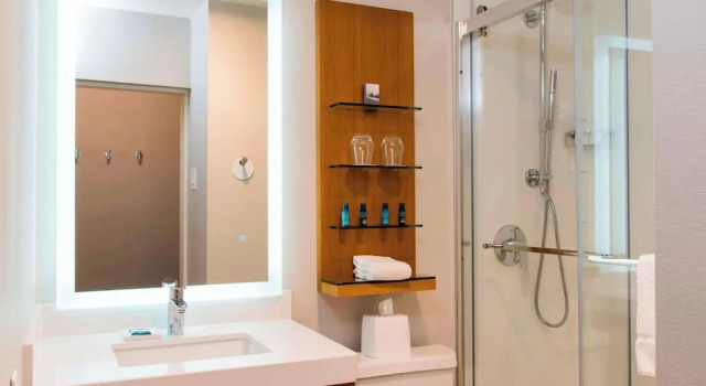 Четырёхместный люкс Sonesta Hotel Grand Rapids Airport