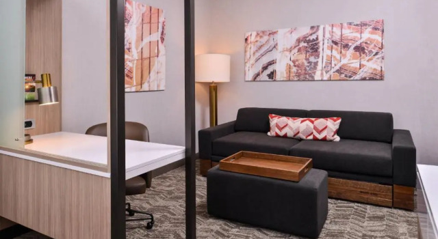 Люкс SpringHill Suites by Marriott Greensboro Airport