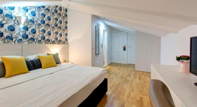 Одноместный номер Hotel Villa Milas