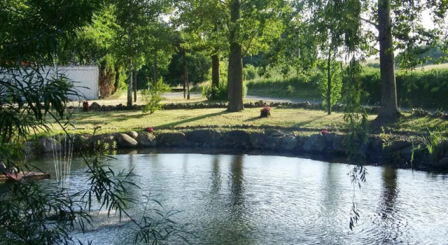 Двухместный номер Standard Van der Valk Golfhotel Serrahn