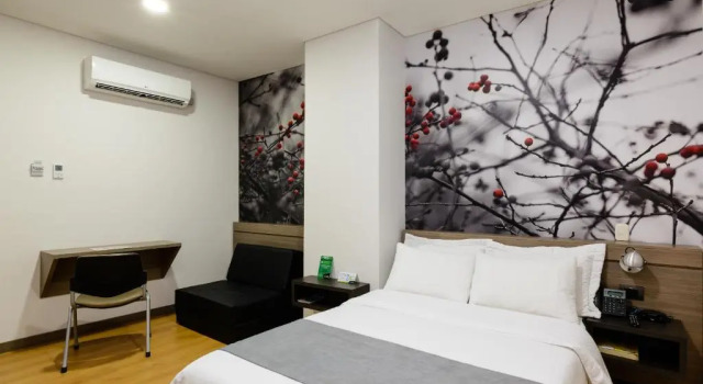 Двухместный номер Standard Hotel Vivre
