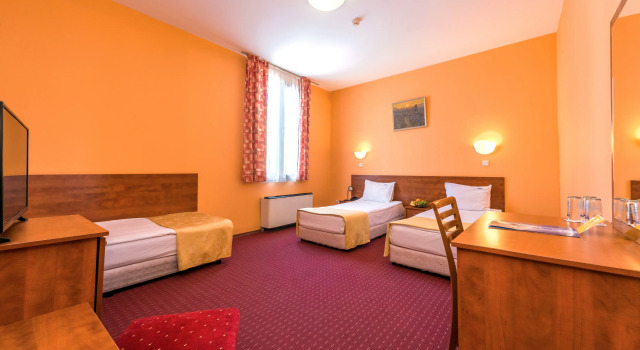 Трёхместный номер Sveta Sofia Hotel