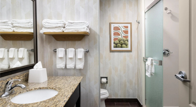 Люкс Hampton Inn and Suites Hope