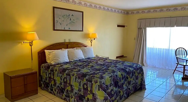 Номер Standard Hotel Oasis