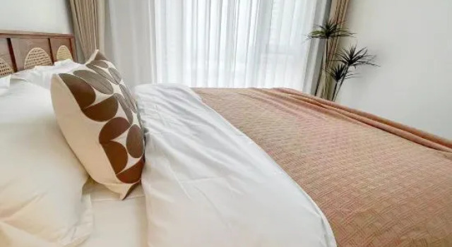 Люкс SeeYou Serviced Suite (Traveler Residence)
