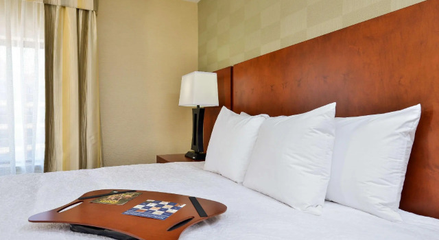 Двухместный номер Standard Hampton Inn Detroit/Auburn Hills South