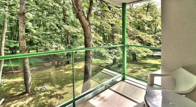 Номер Standard Hotel Forest Beach