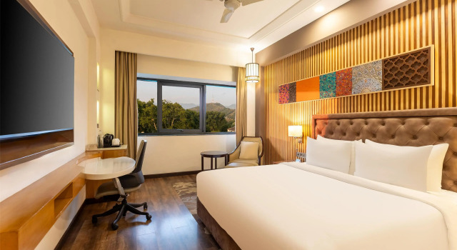Номер Standard Radisson Srinagar