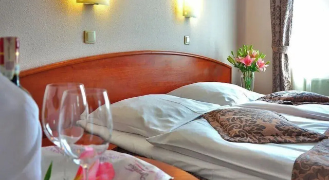 Номер Comfort Villa Garden Hotel