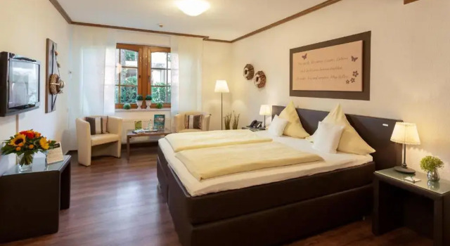 Одноместный номер Standard Hotel Mutter-Bahr