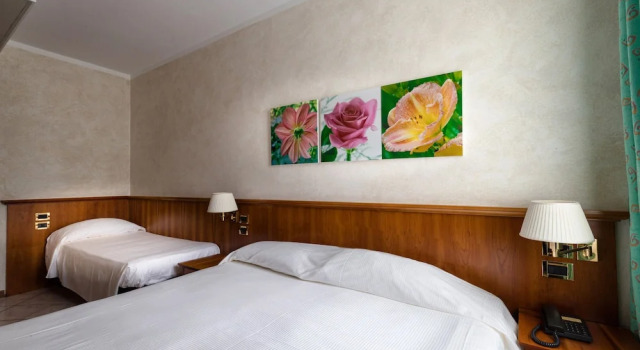 Трёхместный номер Classic Hotel Corte Regina