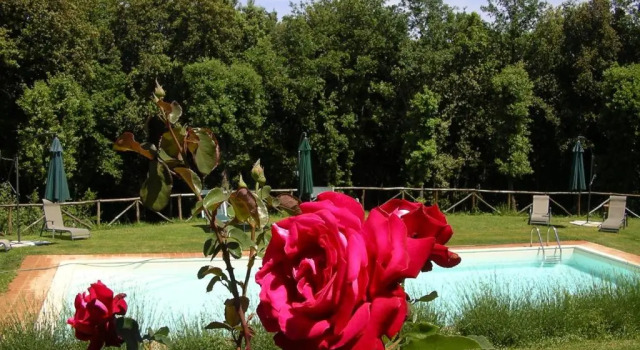 Апартаменты Agriturismo Tre Madonne