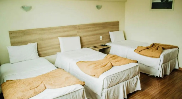 Одноместный номер Standard Dallé Hotel