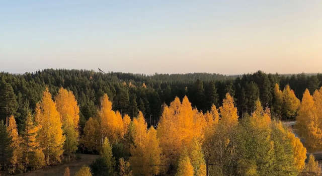 Двухместный номер Standard Hotel Aateli Hillside