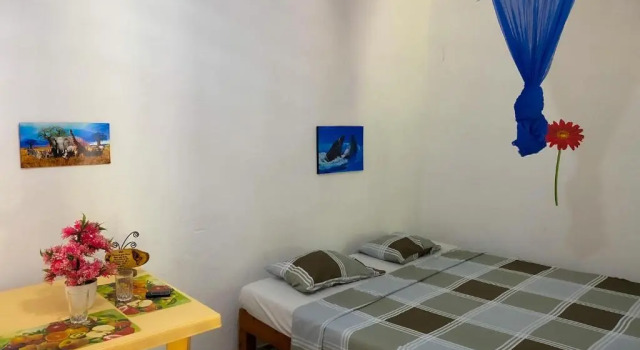 Номер Standard Tradewinds Lodge