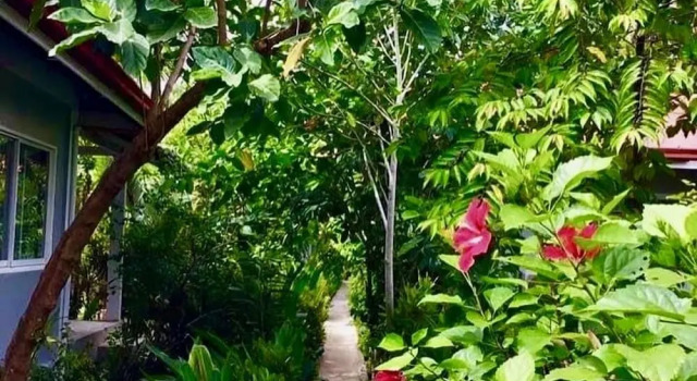 Коттедж c 1 комнатой Siargao Residency