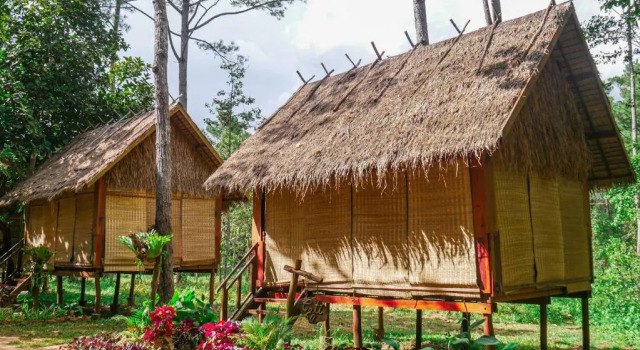 Cabaña vKirirom Pine Resort