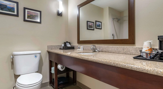 Двухместный люкс Comfort Suites Pell City near Logan Martin Lake