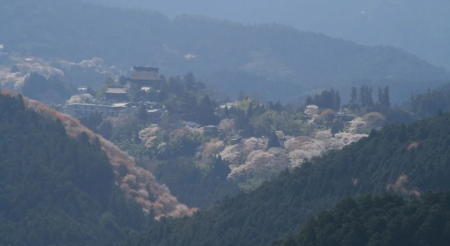 Номер Economy Houtouji Temple