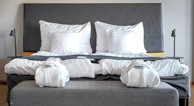 Номер Deluxe Quality Hotel 11 & Eriksbergshallen