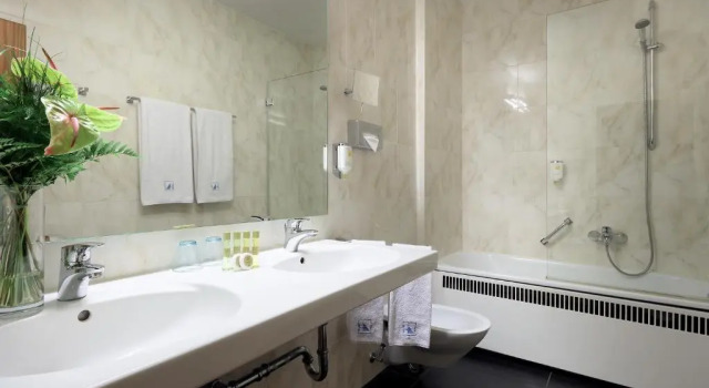 Трёхместный номер Standard Eurostars Park Hotel Maximilian