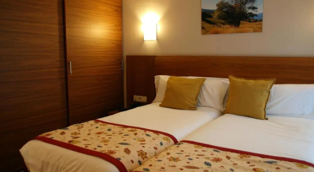 Двухместный номер Economy Hotel Guillem & Spa