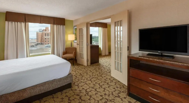 Двухместный люкс Accessible Deluxe Hilton Garden Inn Pittsburgh University Place