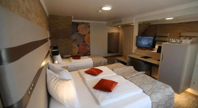 Номер Standard Hotel Baril