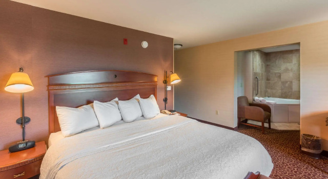 Двухместный номер Standard Hampton Inn Goshen