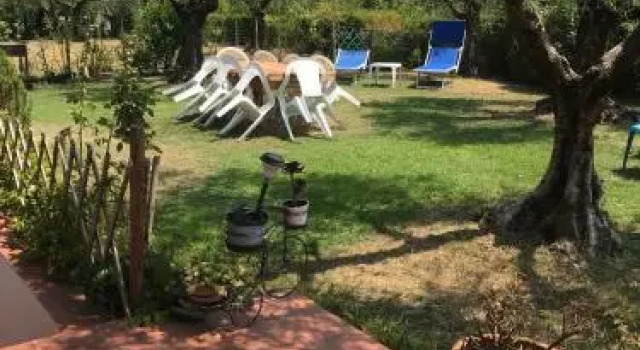 Una Casa tra gli Olivi