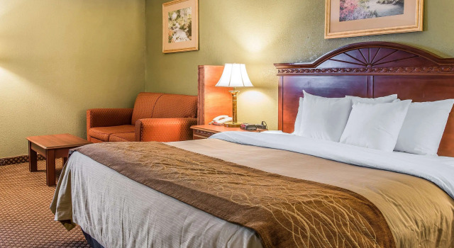Двухместный номер Standard Quality Inn & Suites Ann Arbor Hwy 23