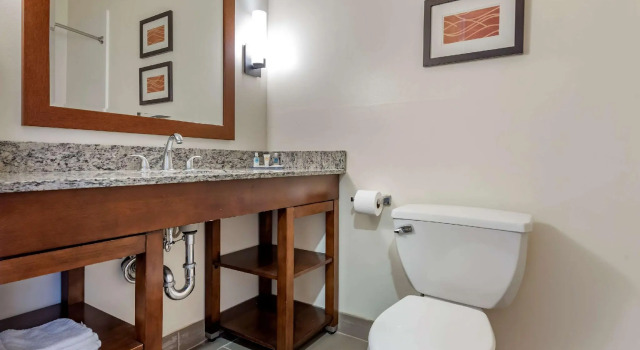 Четырёхместный номер Standard Comfort Inn Apalachin - Binghamton W Route 17