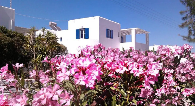 Студия Nicos Studios & Apartments