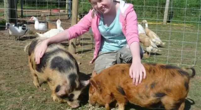 Birchill Farm Holiday Cottages