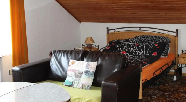 Студия Hotel Haus Erlen