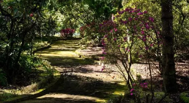 Quinta de Mourães Casa dos Rododendros, Boek Hotel Lever Douro