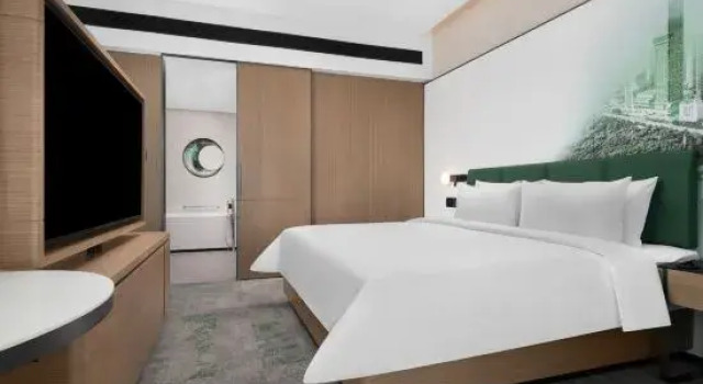 Люкс Hampton by Hilton Shenyang North Railway Station