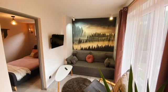 Апартаменты c 1 комнатой Apartament Jagodzianka